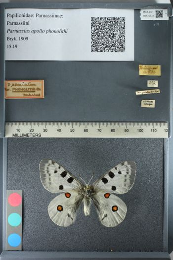 Media type: image;   Entomology 175372